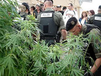 Hanfparade2006 - Polizisten schneiden Hanfpflanzen ab - Video 1