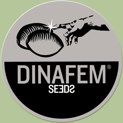 Dinafem-Logo