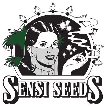 Partner des Forums für Hanfmedizin: Sensi Seeds, Lieferer für das niederländische Medizinalhanfprogramm