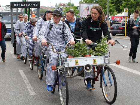 Das Zehnerfahrrad mit Hanfblatt auf dem GMM 2017 in Berlin