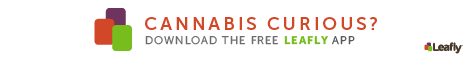 Leafly Cannabis Infoplattform Grafischer Banner
