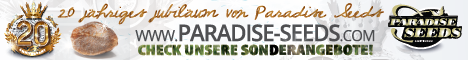 Grafik Banner von Paradise Seeds