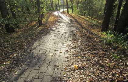 Foto eines dunklen Weges im Park mit Herbstlaub
