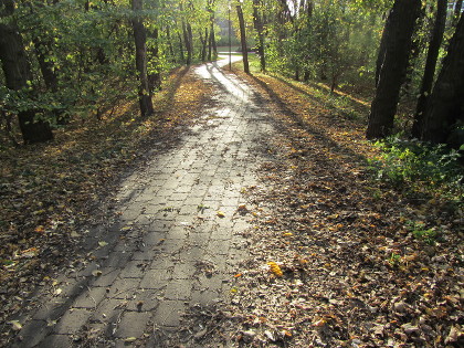 Foto eines dunklen Weges im Park mit Herbstlaub