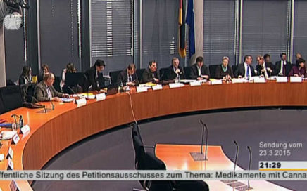 Foto aus dem Stream: Bundestag Sitzung des Petitionsausschuss zu Cannabis als Medizin