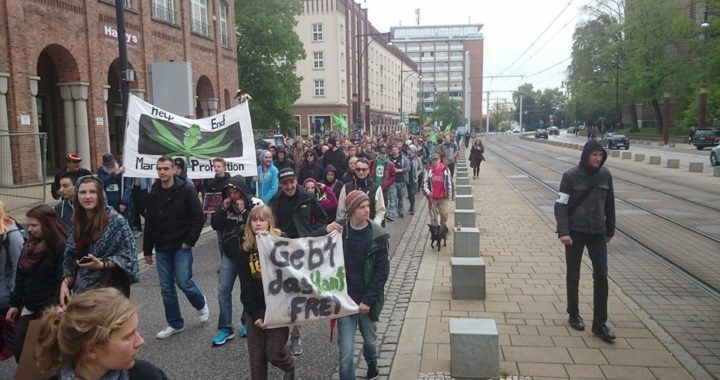 Foto vom Global Marijuana March (GMM) 2015 in Rostock