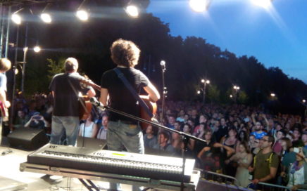 Foto mit Sicht vonn der Bühne der Hanfparade 2014 abends