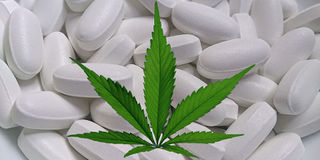 Cannabis als Medizin Grafik