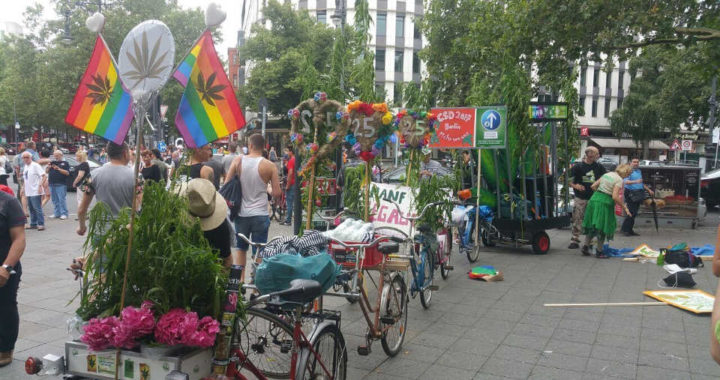 CSD 2017 Fußgruppe der Hänflinge (Hanf Museum, Hanfparade, Deutscher Hanfverband) beim Aufbau am Adenauerplatz