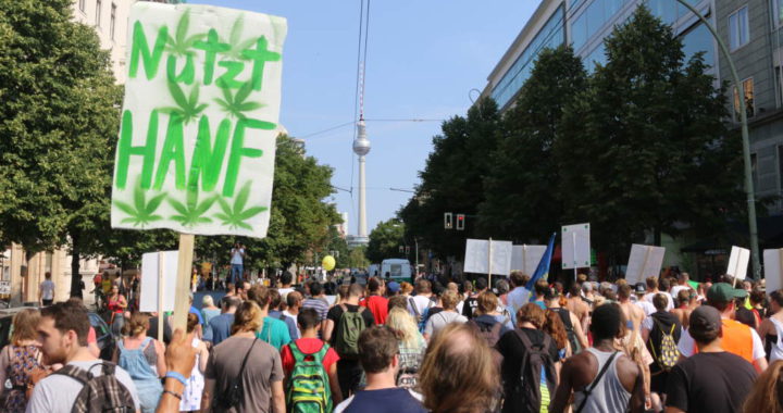 Foto vom Demonstrationszug der Hanfparade durch Berlin mit Blick auf den Berliner Fernsehturm am Alexanderplatz