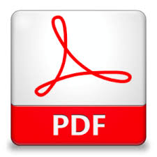 PDF Datei