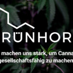 Logo der Grünhorn Apotheke