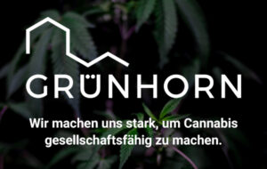 Logo der Grünhorn Apotheke