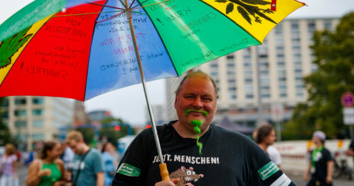 Foto von Alexander Buddix Zierden auf der Hanfparade