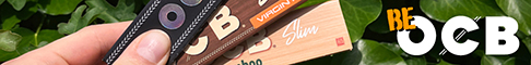 Webbanner Grafik von OCB