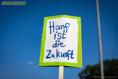 Hanfparade-2025-1754841942910