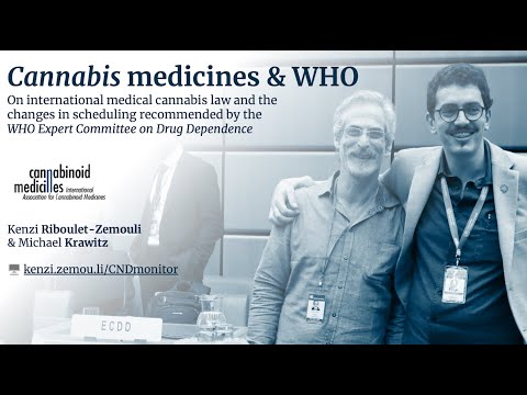 Understand WHO medical cannabis recommendations (2020)