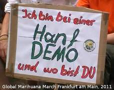 Winkelement mit Text Ich bin auf einer Hanfdemo - wo bist du?